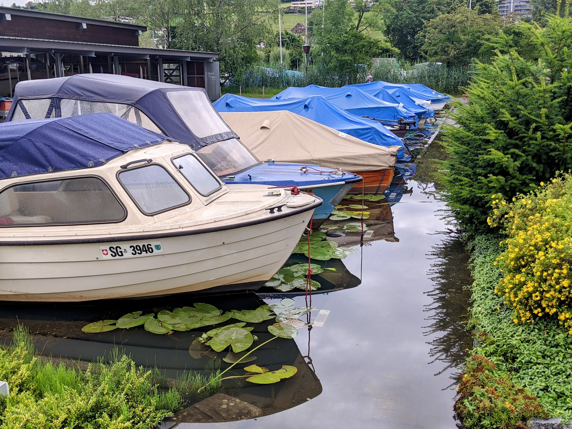 Boote beim Hafen Rheinkies Schmerikon (Foto: Thomas Müller, 8716.ch)