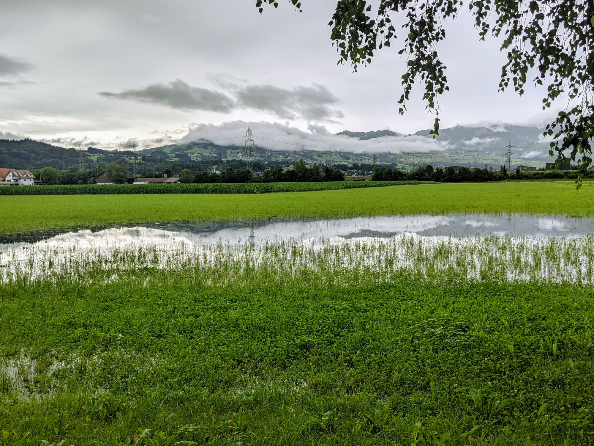 In der Grossen Allmeind in Schmerikon steht das Wasser (Foto: Thomas Müller, 8716.ch)