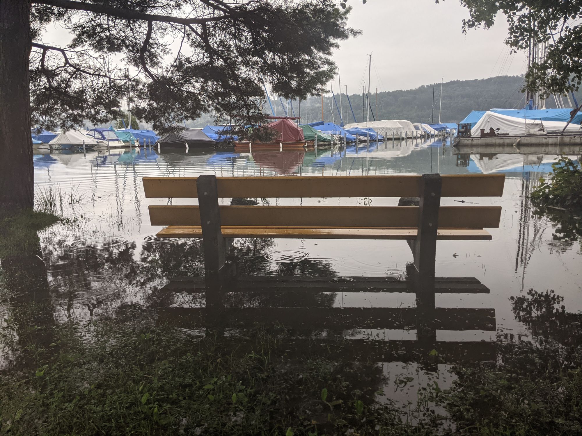 Ruhebänkli vom Verkehrsverein im See anstatt am See (Foto: Thomas Müller, 8716.,ch)