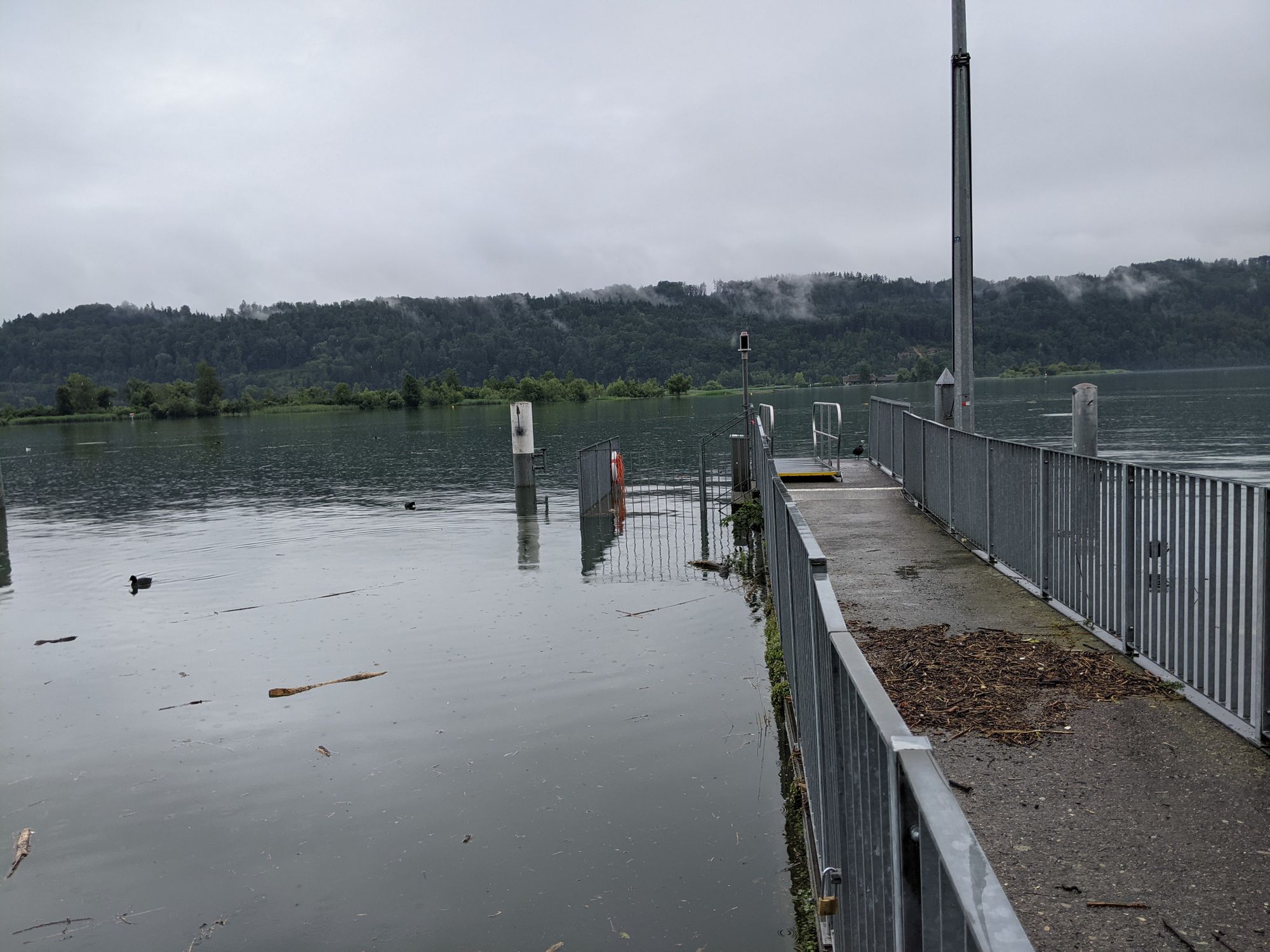 Hochwasser am Dampfschiffsteg in Schmerikon (Foto: Thomas Müller, 8716.ch)