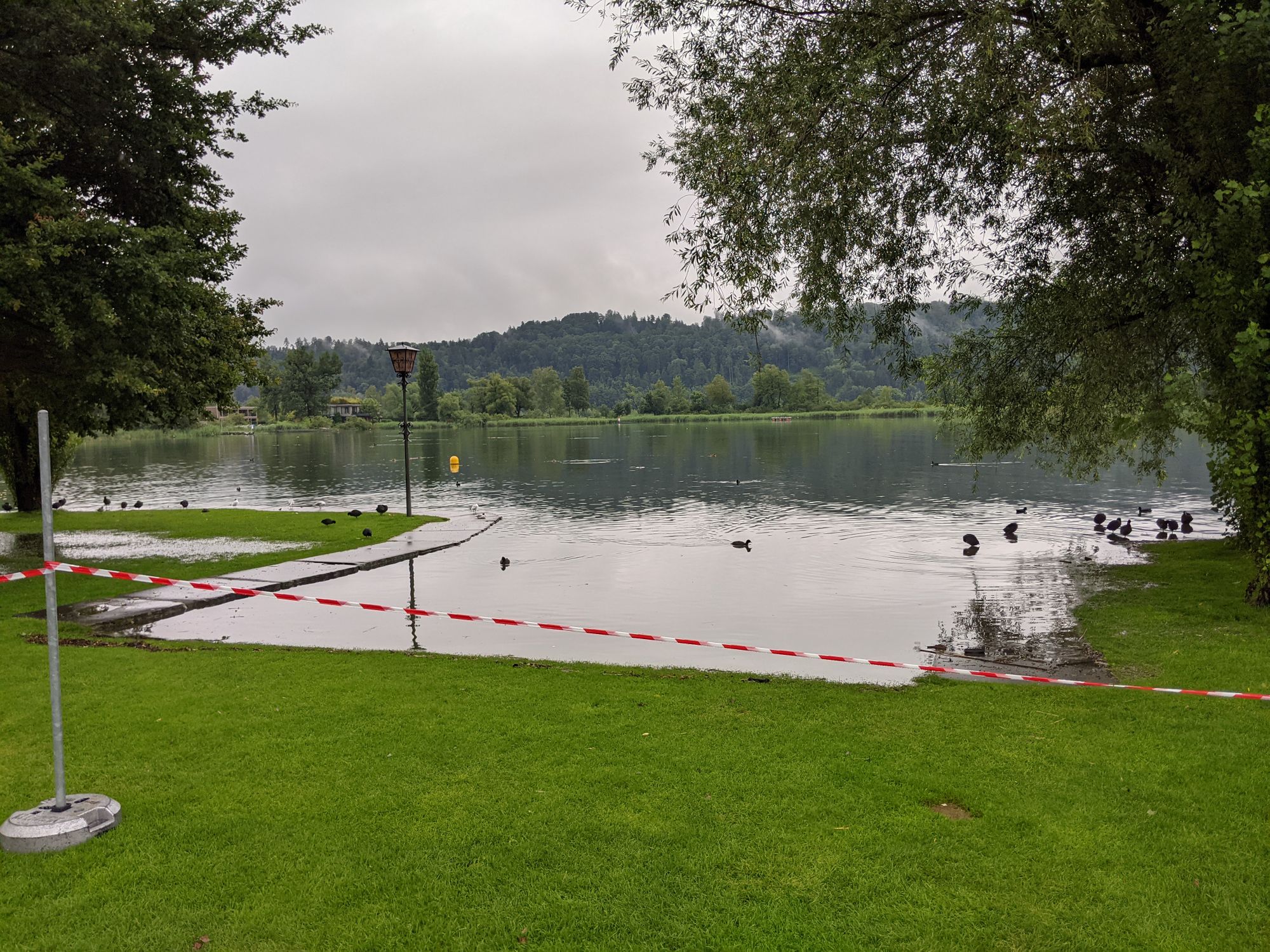 Die Einwasserungsstelle in der Seeanlage ist jetzt eben mit dem See (Foto: Thomas Müller, 8716.ch)