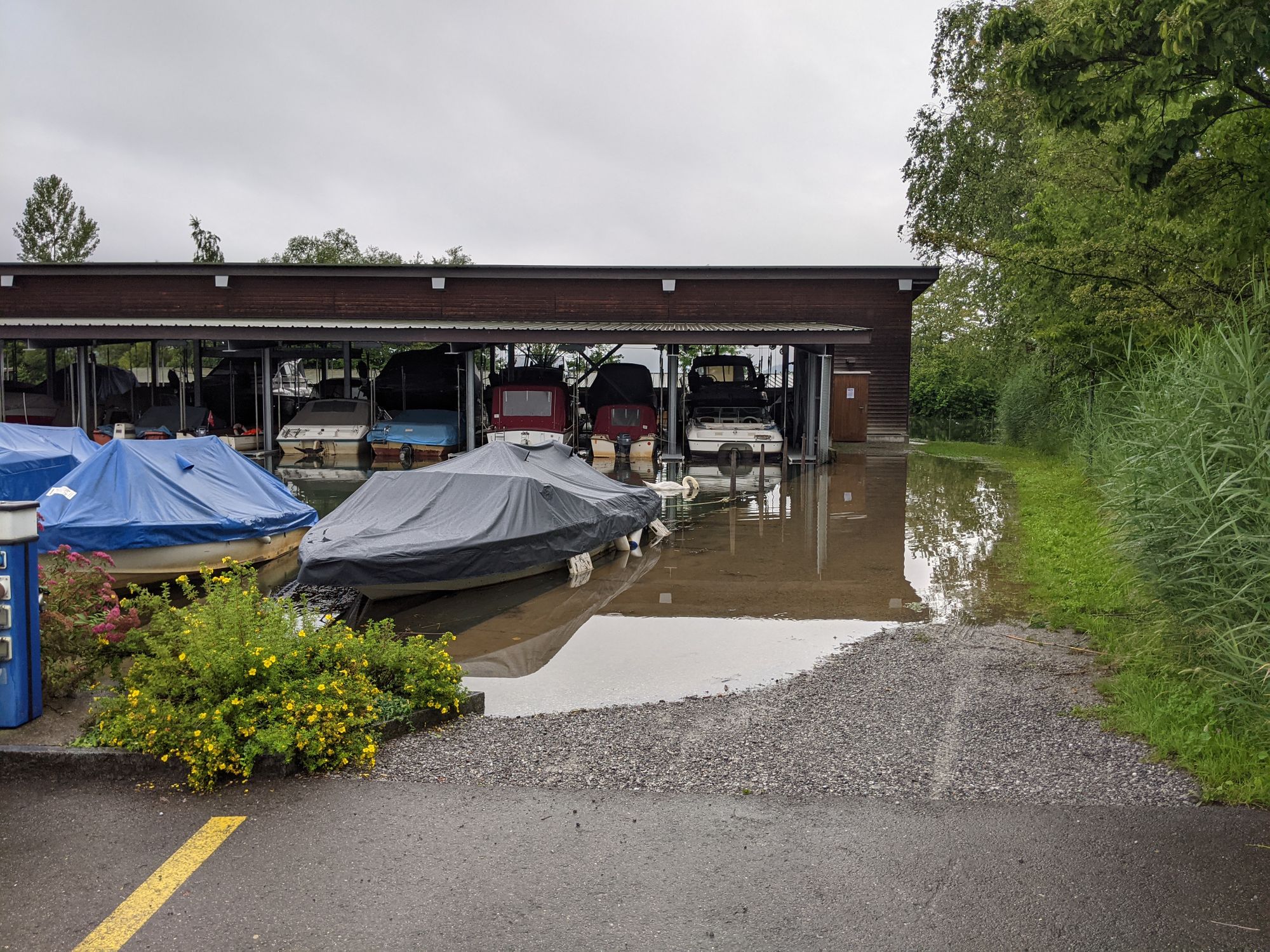 Hochwasser im Hafen Rheinkies in Schmerikon (Foto: Thomas Müller, 8716.ch)