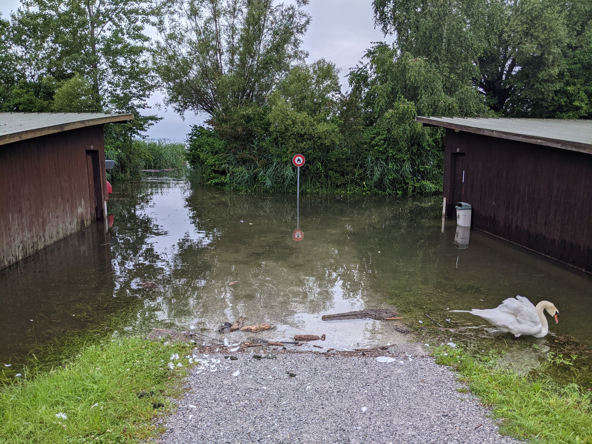 Hochwasser im Hafen Rheinkies in Schmerikon (Foto: Thomas Müller, 8716.ch)