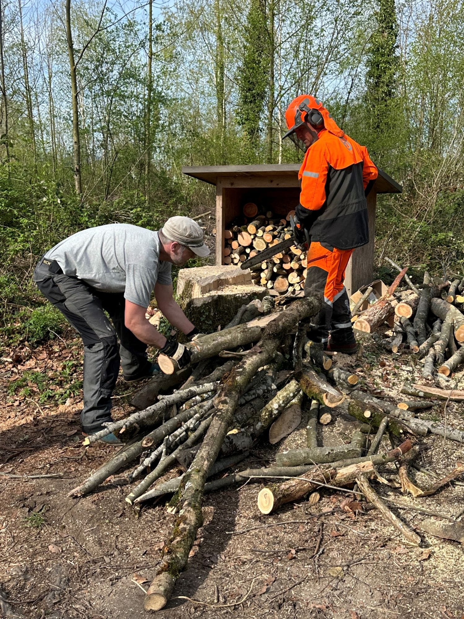 Erfolgreicher Cleanup-Day in Schmerikon