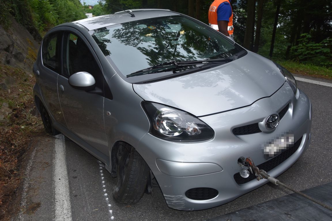 Nach Ausweichmanöver in Hang geprallt - Zeugenaufruf