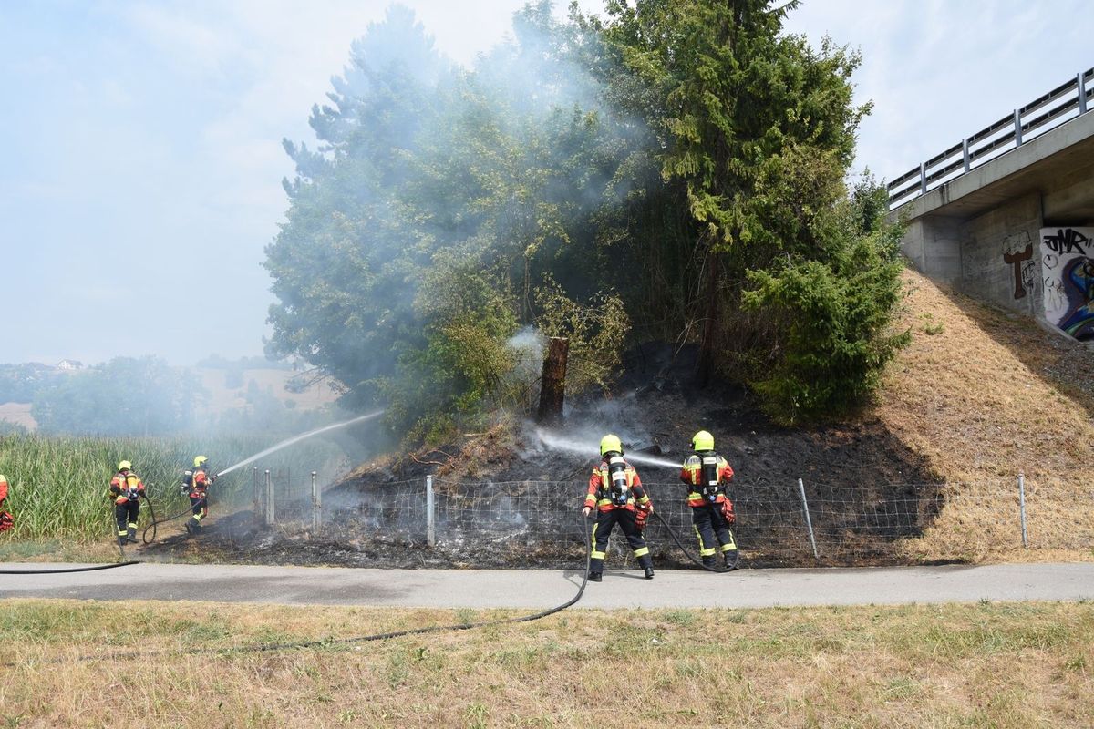 Schmerikon: Brand einer Böschung