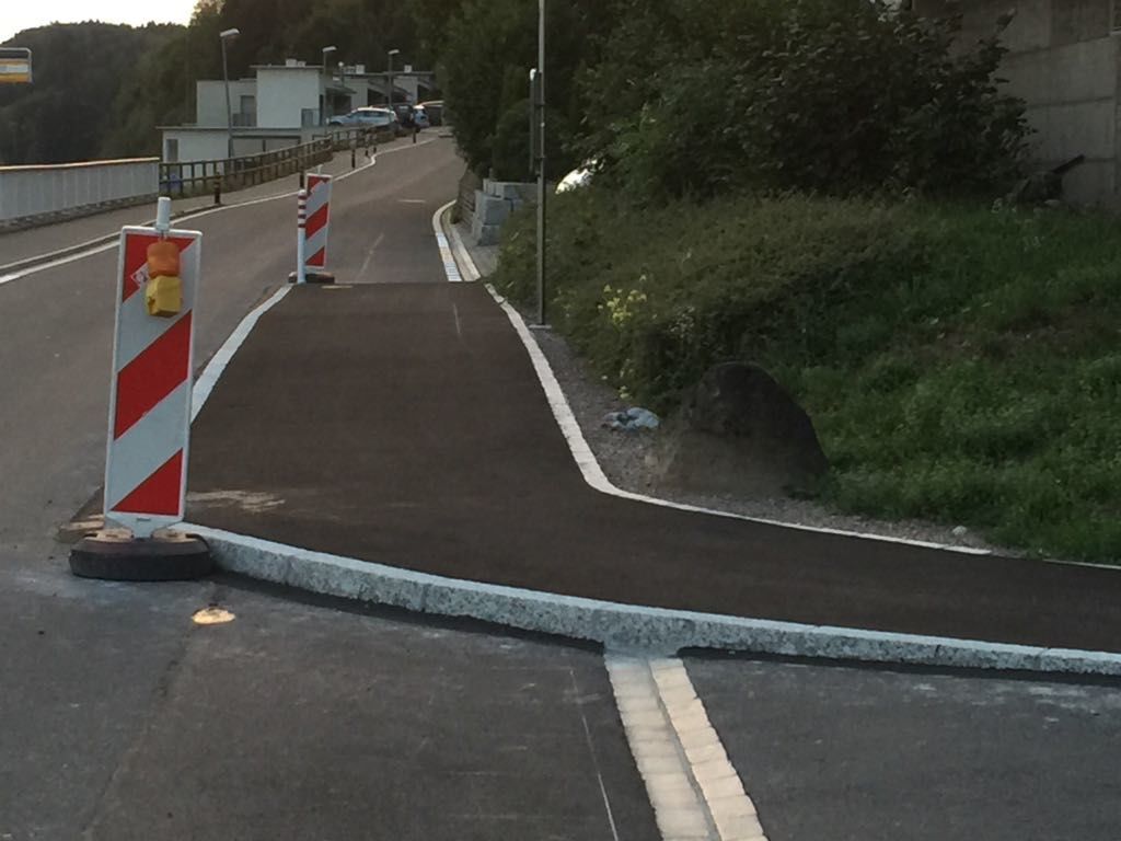 Schnellfahrer ausgebremst