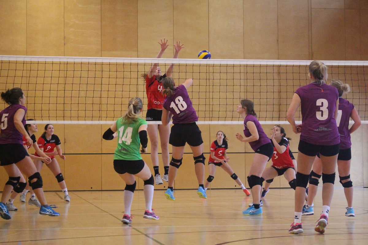 Ein Spieltag für den Volleyballclub Linth