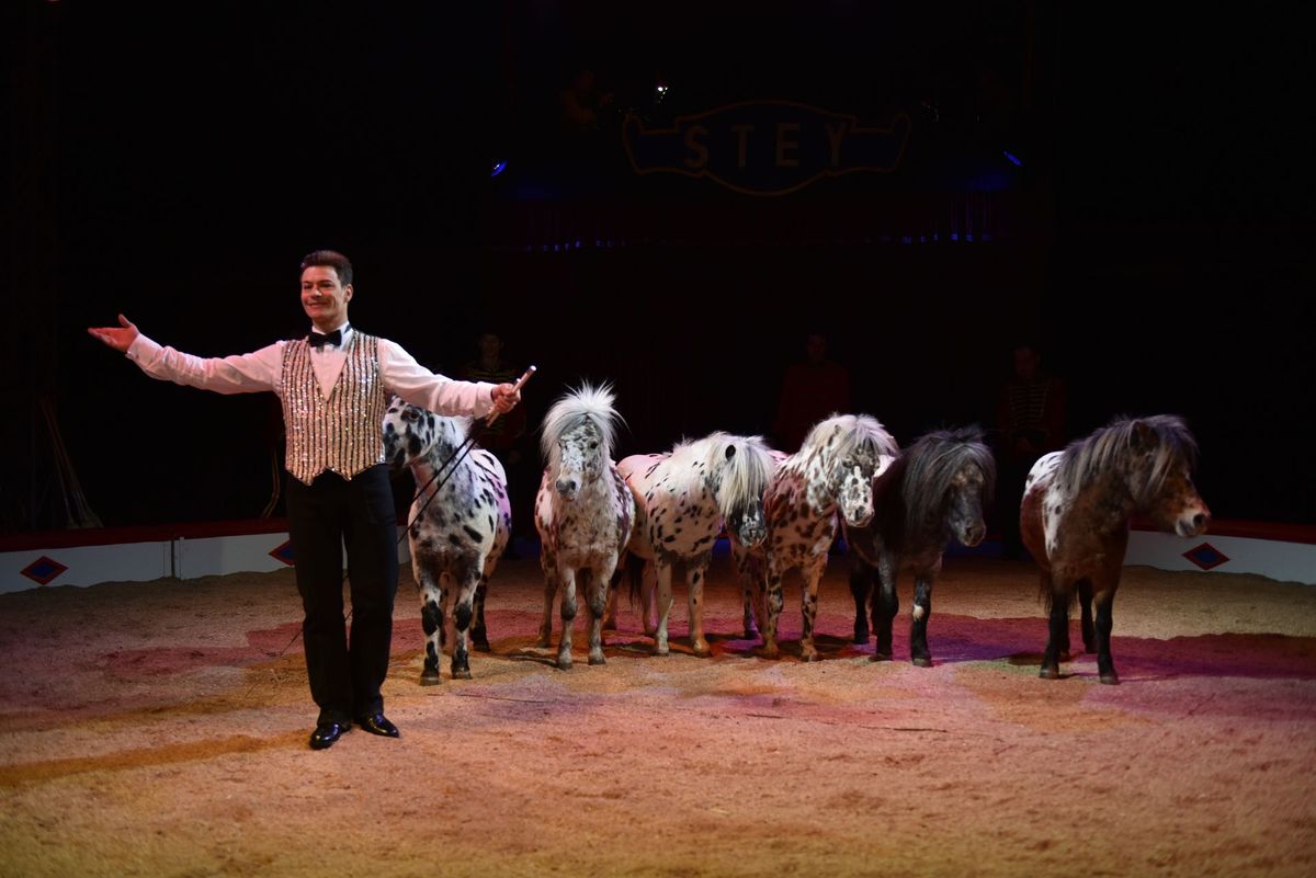 Zirkus Stey auf der Schmerkner Eselwiese