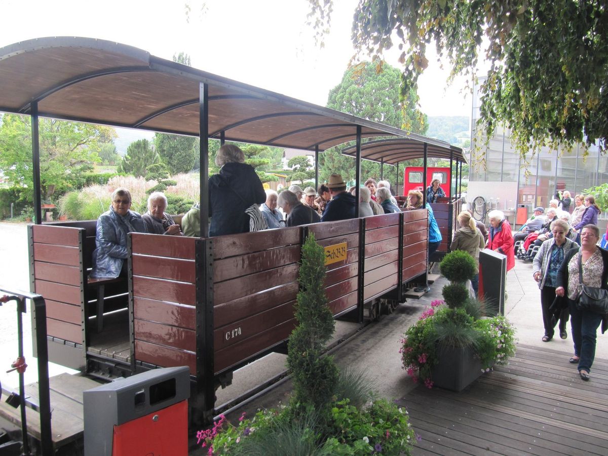 Ausflug der Bewohner der Pension Obersee und vom Wohnenplus in Schmerikon