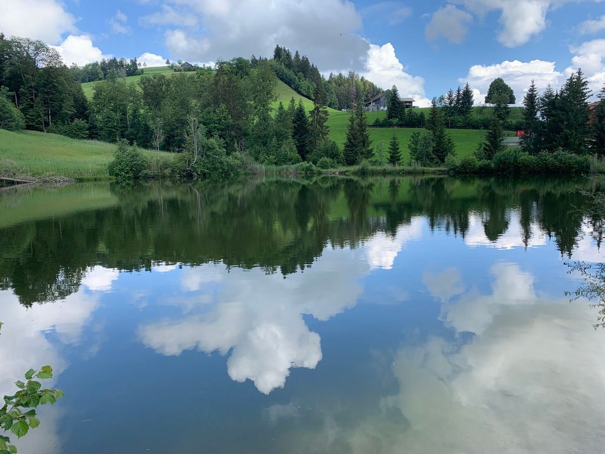 Familienwanderung zum Aussichtsberg Bachtel