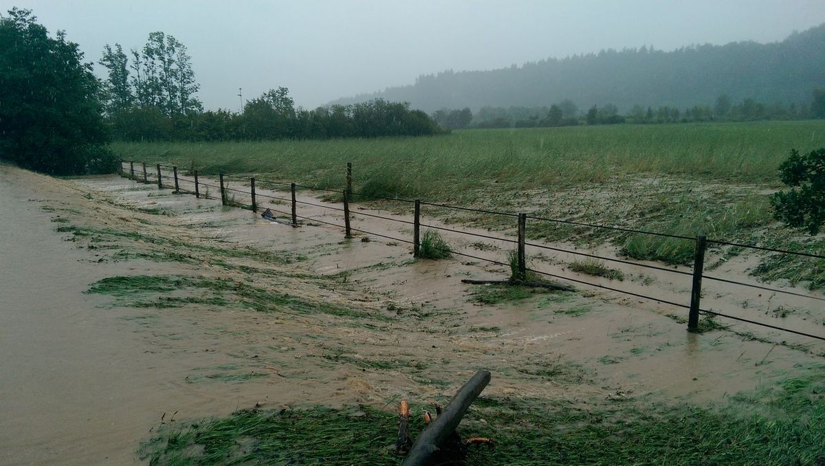 Hochwasserschutz und Ökologie im Einklang am Aabach?