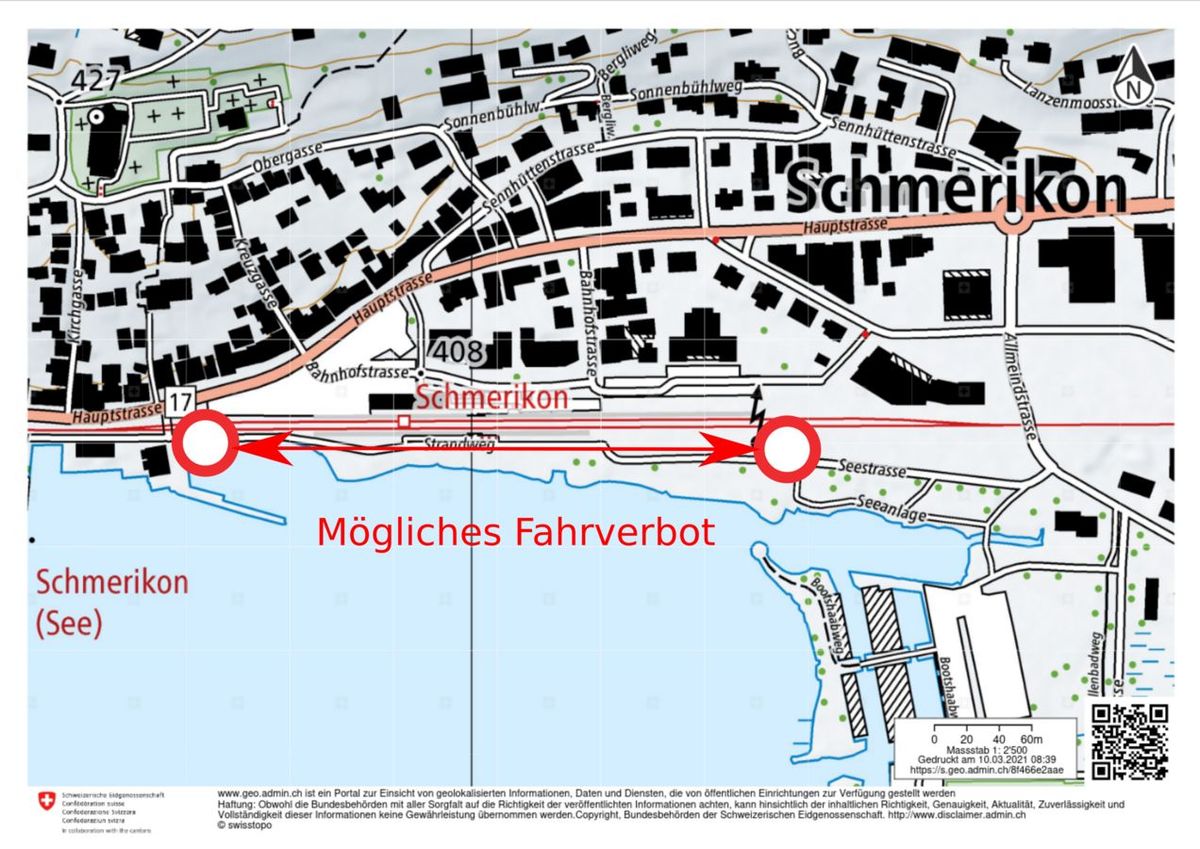 Erste Online-Debatte: Fahrverbot in der Seeanlage