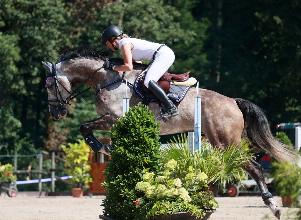 Liquidationsverkauf im ehem. Reitsport Obersee