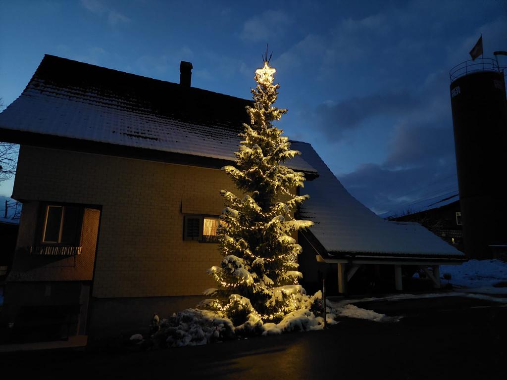 Christbaumverkauf auf dem Goldberg