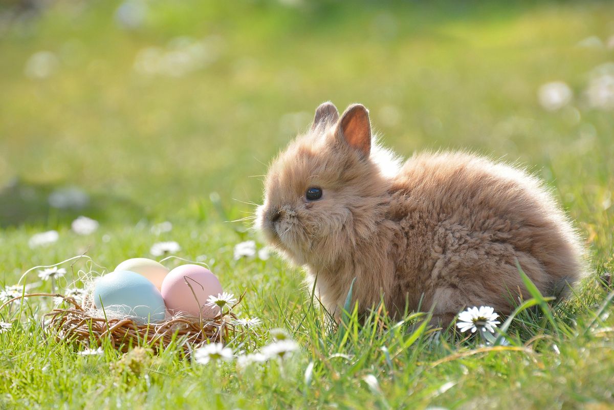 Das Osterfest steht vor der Tür