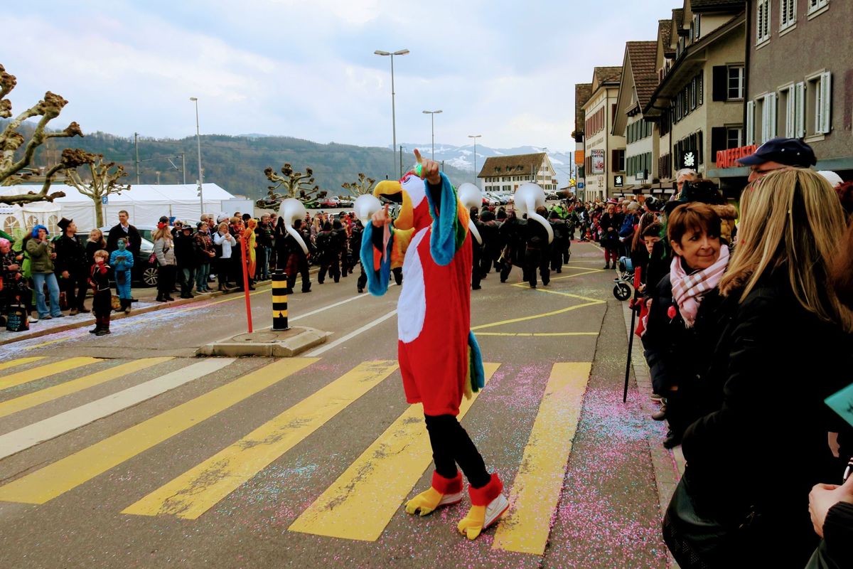 Die Fasnacht Schmerikon braucht dich