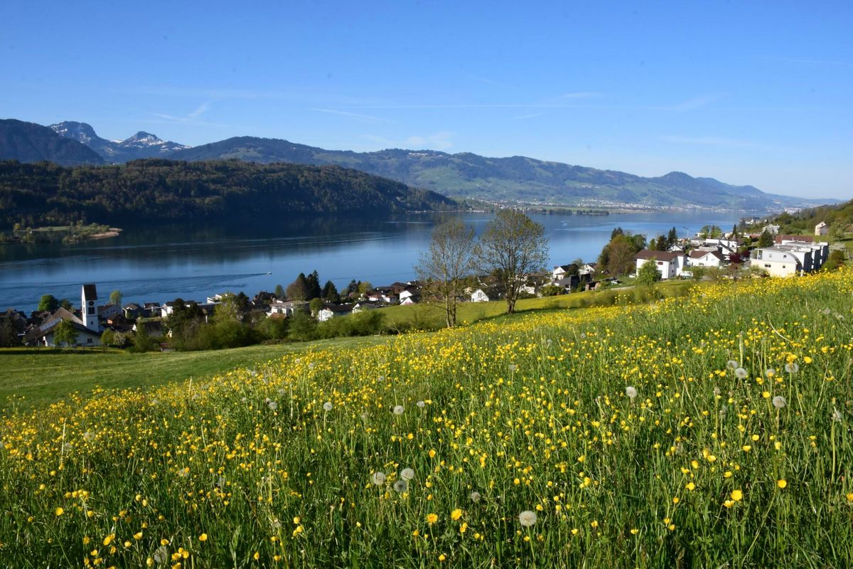 Sommerfest mit Esther Friedli und Jodlerklub Heimelig