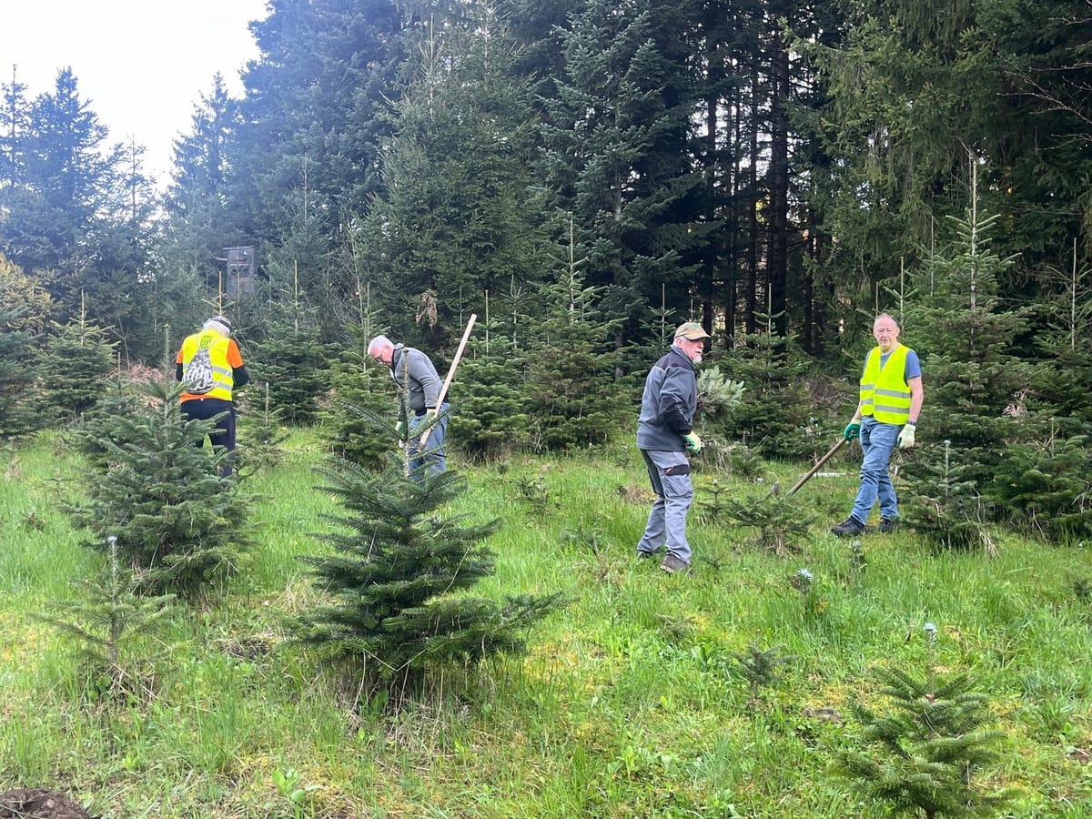 Seeufer- und Waldreinigung