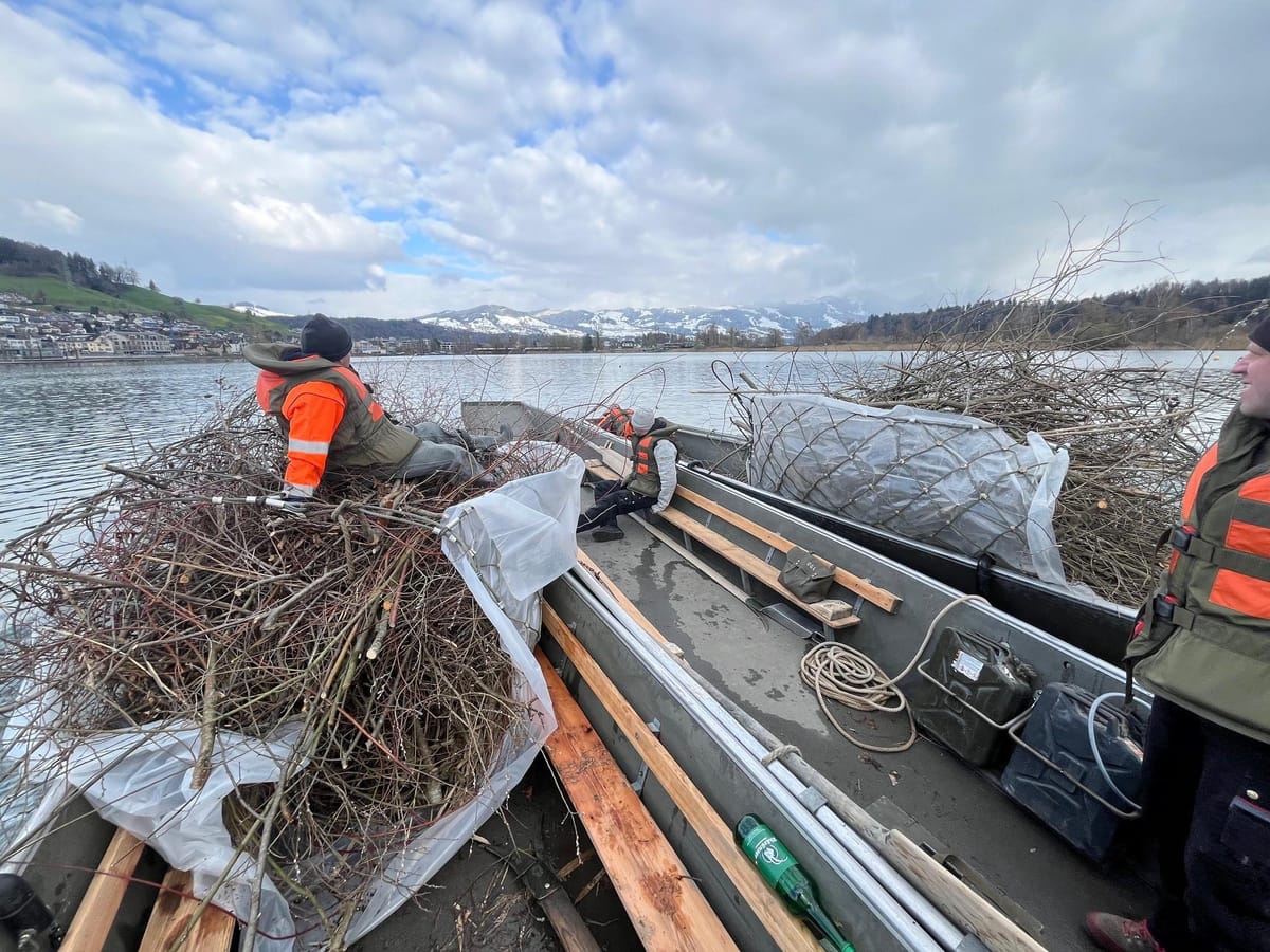 Frühlingsputz zu Land und zu Wasser: 80 Helfende packen kräftig an