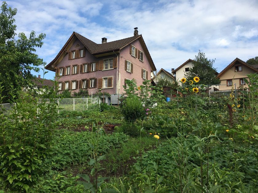 Projekt Dorfgarten: Gärtnern und Ernten
