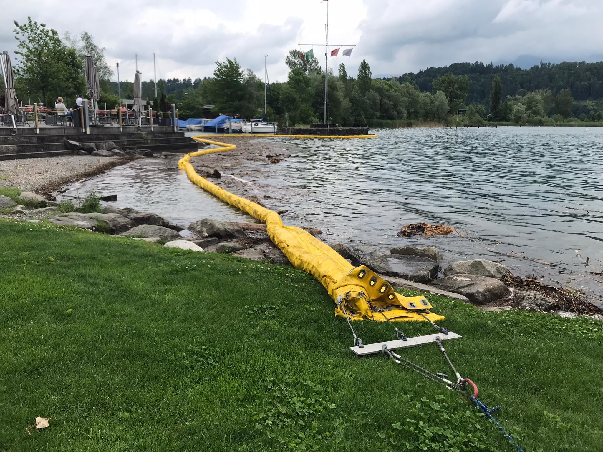 Schwemmholz / Hafen Rheinkies war gesperrt