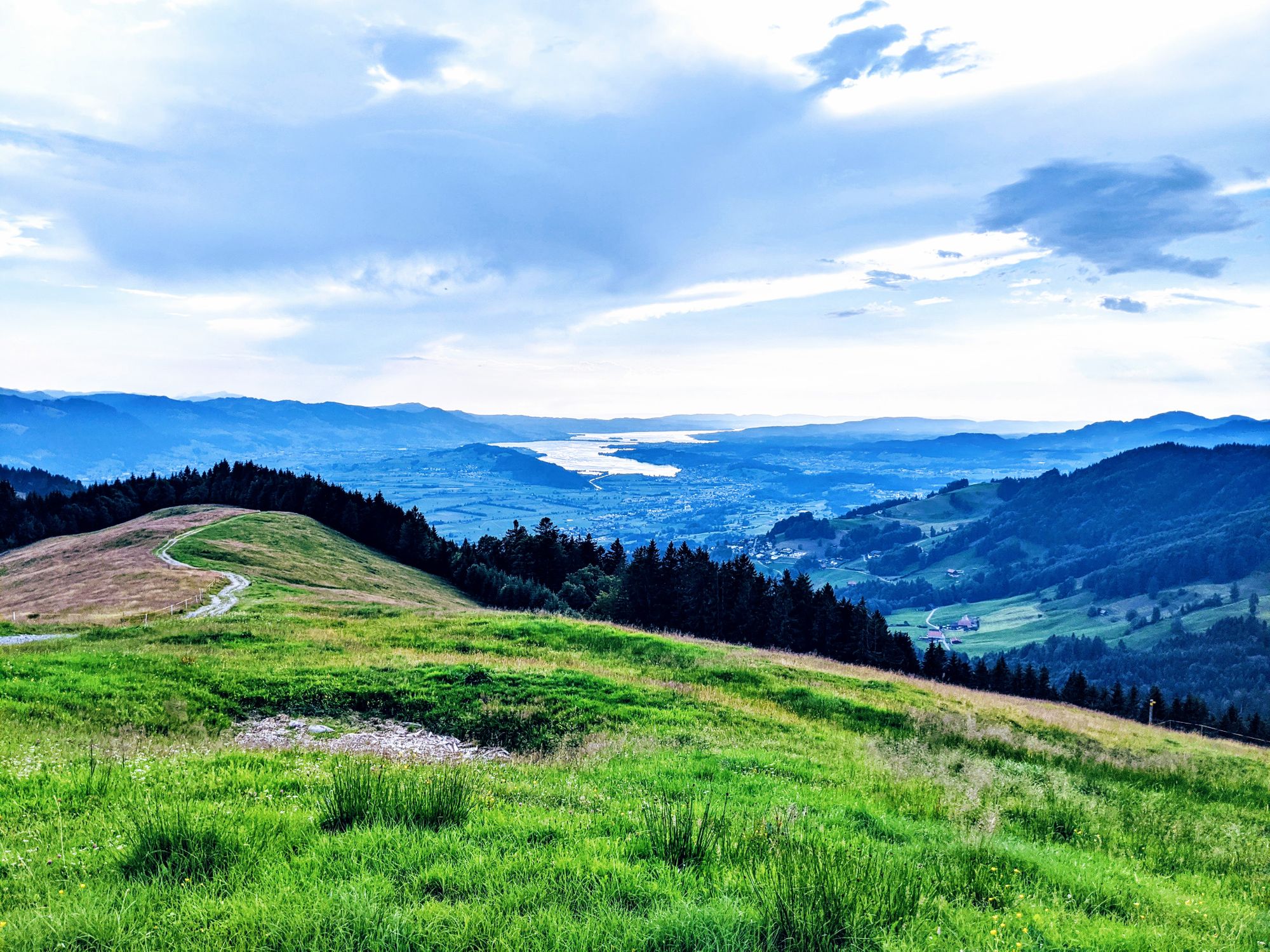 Blick nach Schmerikon und den Zürichsee auf dem Weg auf den Tanzboden am 21. Juli 2020 (Foto: Thomas Müller)