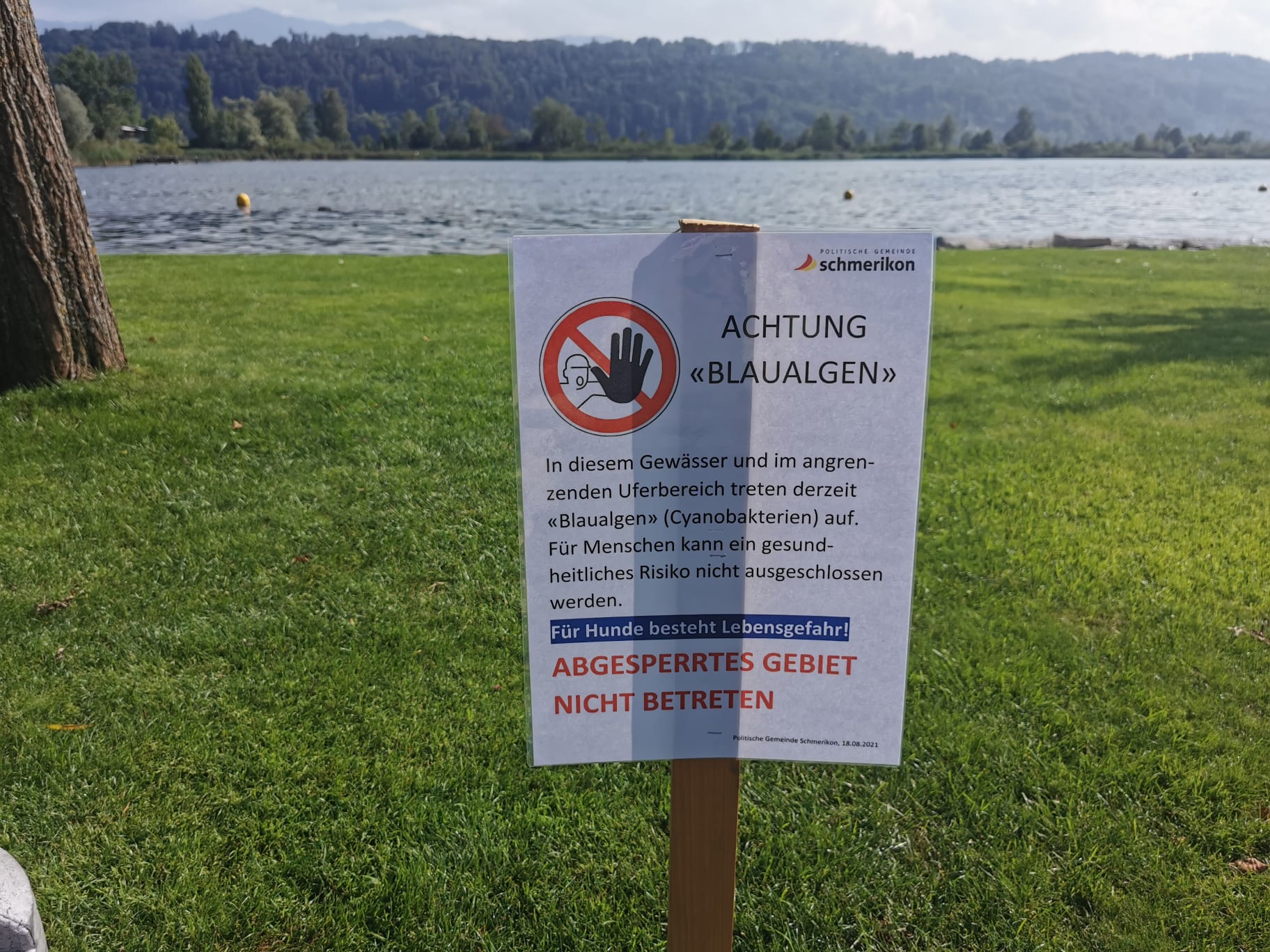 Deutliches "Betreten Verboten" Hinweisschild in der Seeanlage (Foto: z.V.g. Gemeinde Schmerikon)