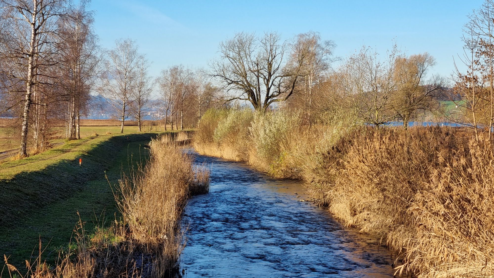 Holzarbeiten am Aabach