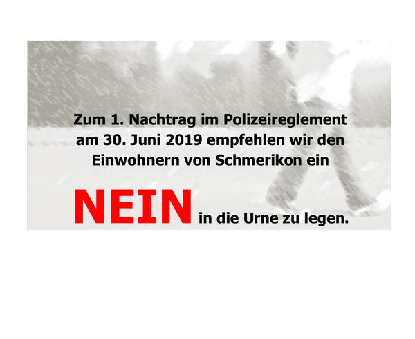 Warum die Änderung des Polizeireglements ein NEIN verdient