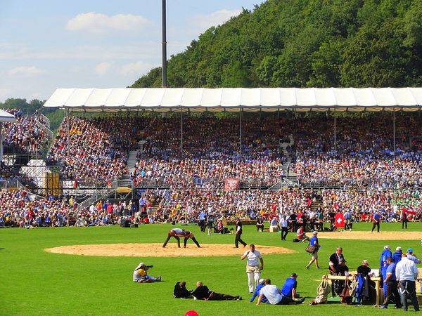 Live-Übertragung Eidgenössisches Schwing- und Älplerfests