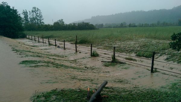 Hochwasserschutz und Ökologie im Einklang am Aabach?