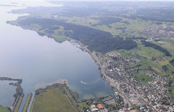 Toxische Blaualge: Trotz Herbst keine Entwarnung