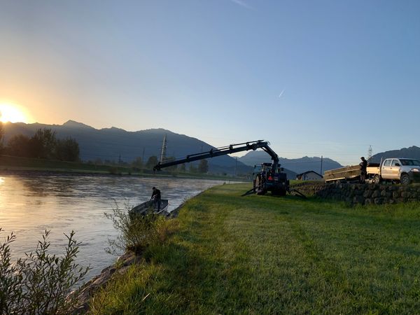 Die Weidlinge sind ausgewassert