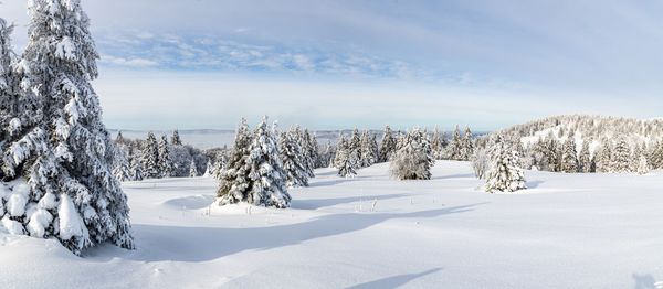 Absage Winterzauber vom 15. Februar 2022