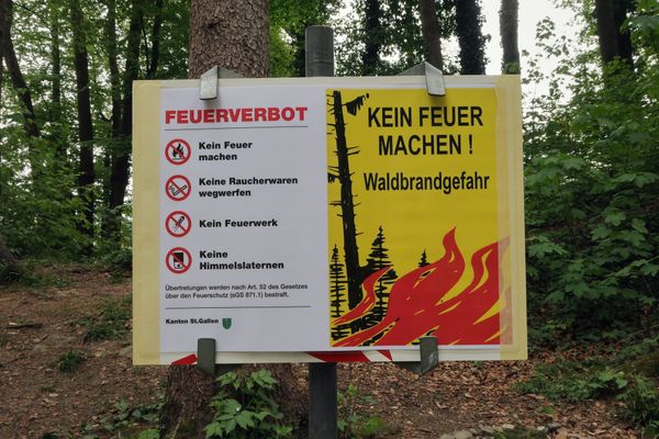 Kein Feuer und Feuerwerk im Wald und in Waldesnähe