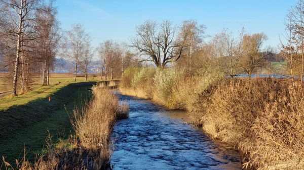 Holzarbeiten am Aabach