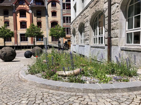 Natur vor der Haustüre - Wie wir alle Biodiversität in unseren Gärten fördern können