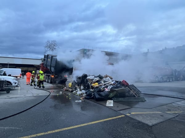 Bagatell-Einsatz der Feuerwehr im Entsorgungspark