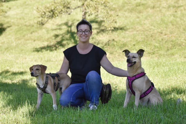 Neu in Schmerikon: ParCanis -Training für Mensch und Hund