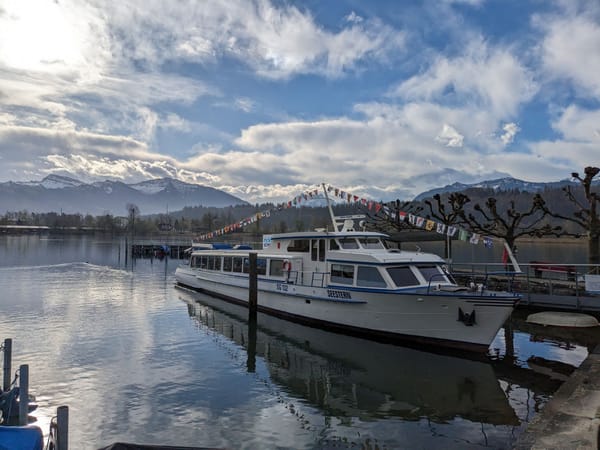 Buche deine Fahrt auf dem Rickli Schiff