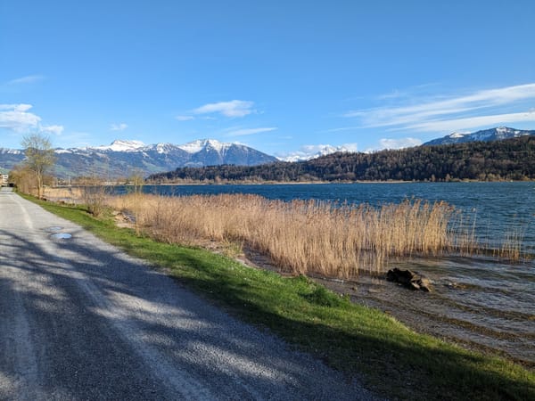 50 Jahre Seeuferweg von Schmerikon nach Rapperswil