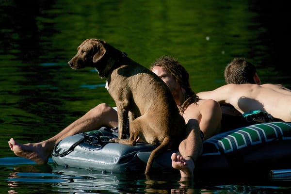Gummiboot- und Schwimm-Verbot rund um die Grynau