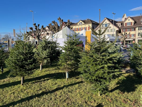 Christbaumverkauf beim Haus Hirzen