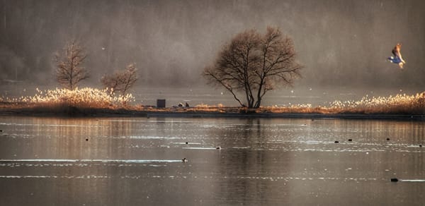 Ich see. Wir se(h)en. Sehdorf Schmerikon.